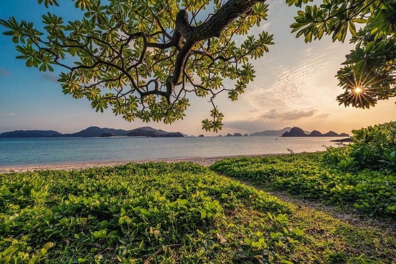 Connect with Nature